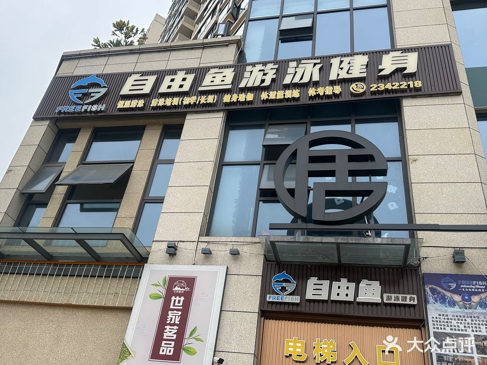 自由鱼游泳健身