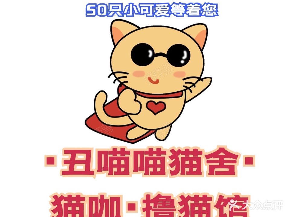丑喵喵猫舍·猫咖·撸猫馆