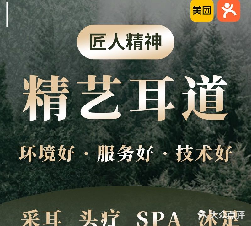 精艺耳道·专业采耳(奥园店)