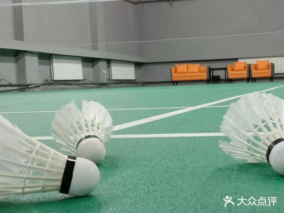 飞扬网羽俱乐部