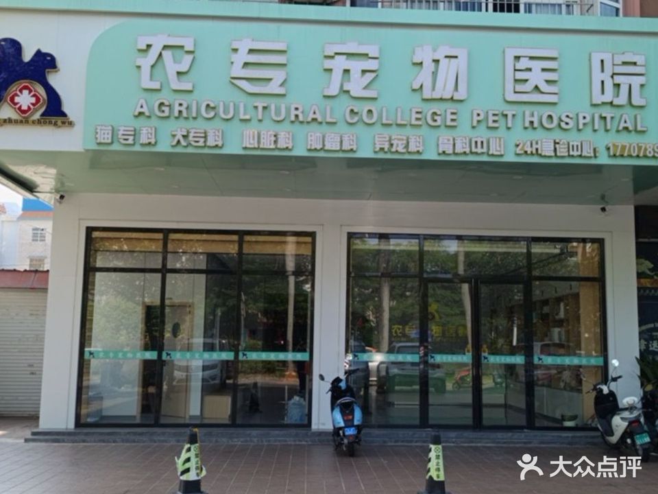 农专宠物医院·猫专科·骨科(合浦店)