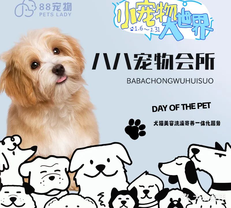 八八宠物店
