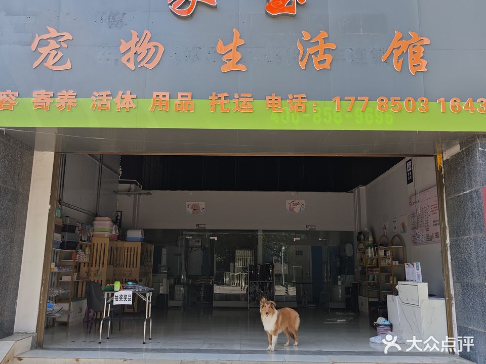 家宝宠物生活馆