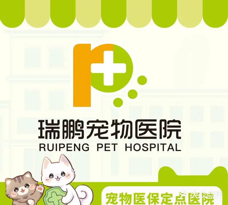 兰领动物医院·骨科·肿瘤·心脏科·金麒麟