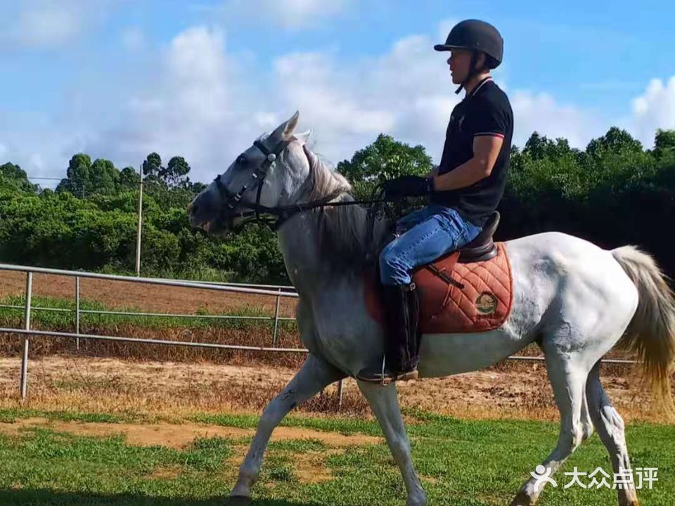 御龙马农庄·马术运动场