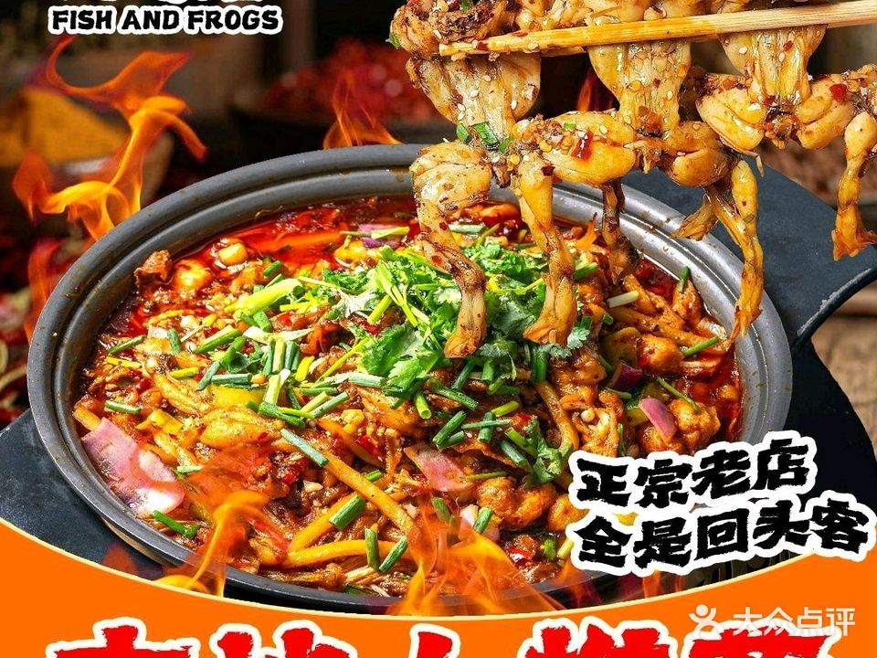 鱼与蛙