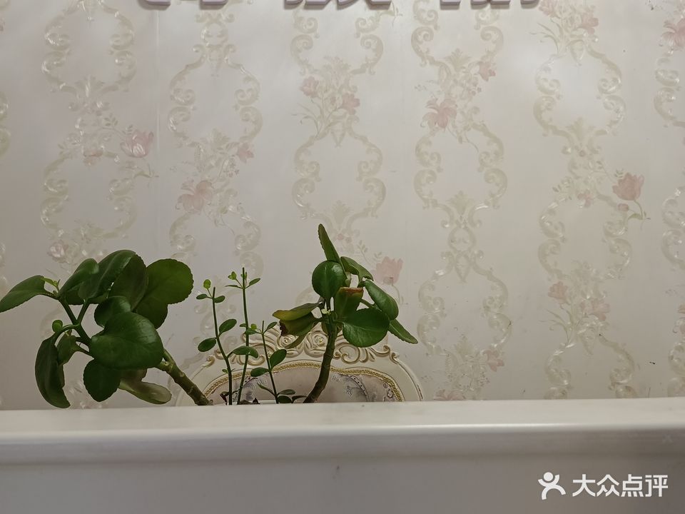 诗颜丽专业皮肤管理纹绣美容连锁机构(群众路分店)