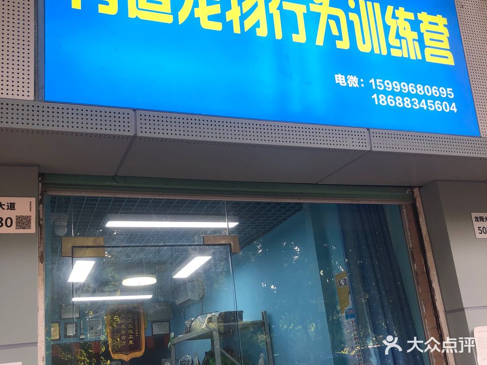 友道宠物训练营(雅庭名苑店)