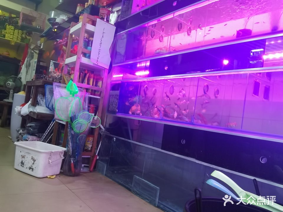 聚缘鲜花观赏鱼店