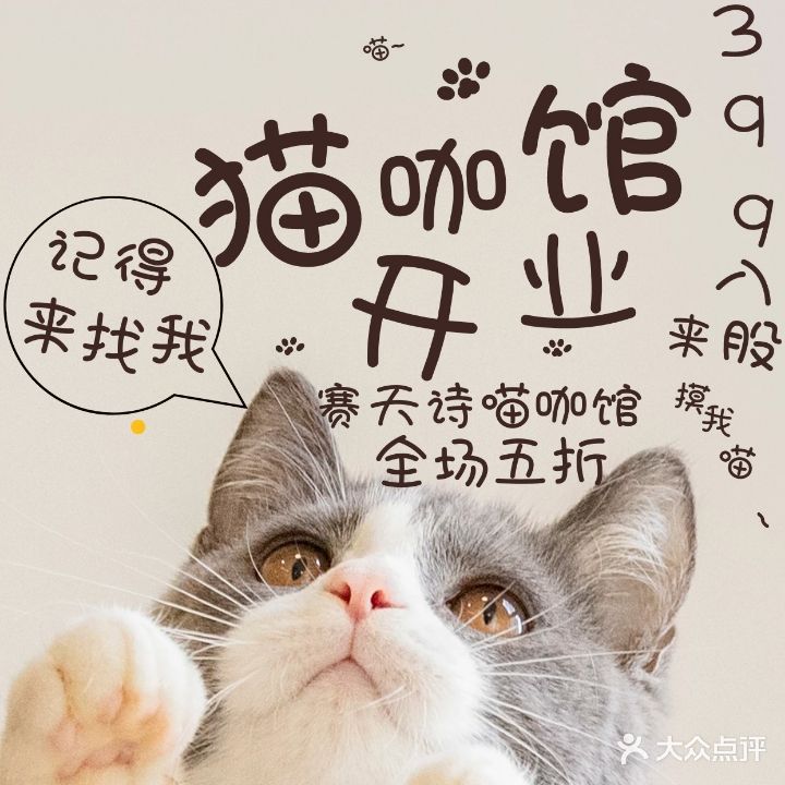 赛天诗喵(新安家园店)