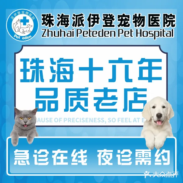 珠海市香洲区派伊登宠物医院
