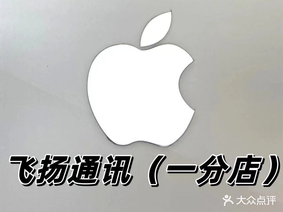 飞扬通讯一分店(望海大道店)