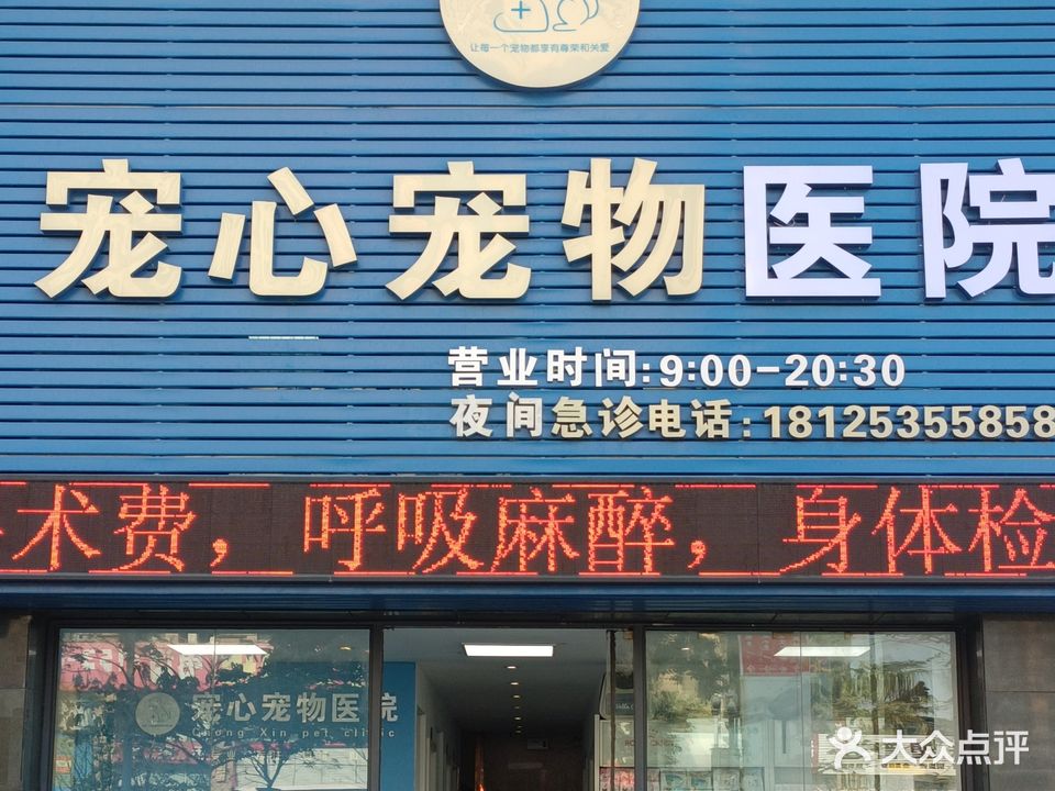 宠心宠物医院