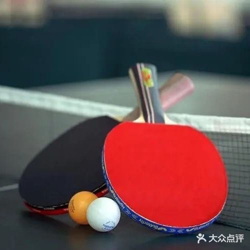 勤乒精英团乒乓球培训中心(金色家园店)