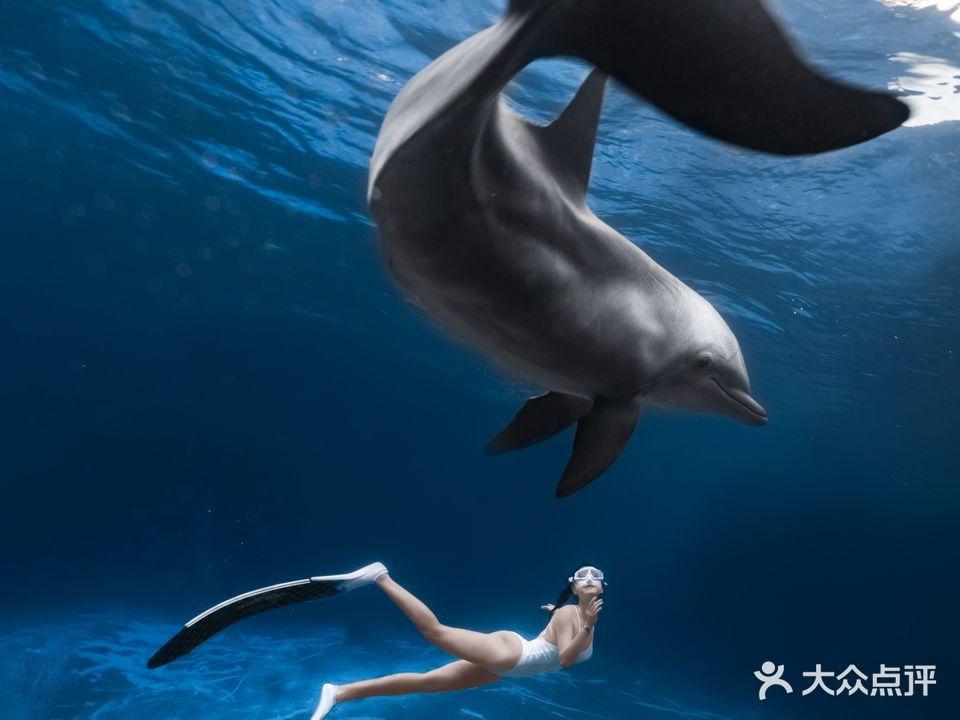 1Dive壹潜潜水俱乐部