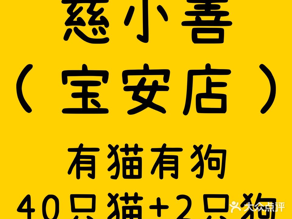 慈小善·猫咖·狗咖·撸猫·撸狗(宝安店)