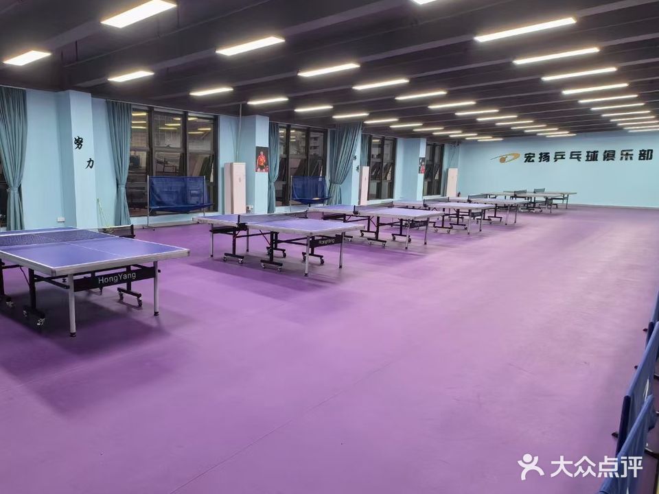 宏扬乒乓球俱乐部(西区馆)