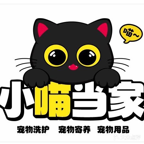 小喵当家