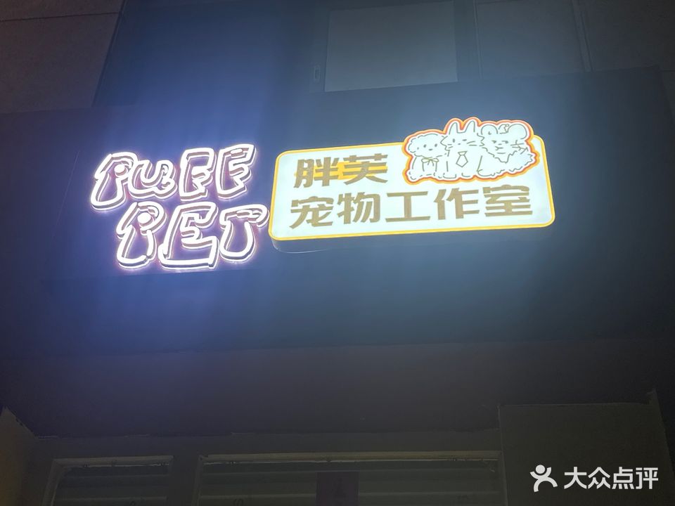 胖芙宠物工作室