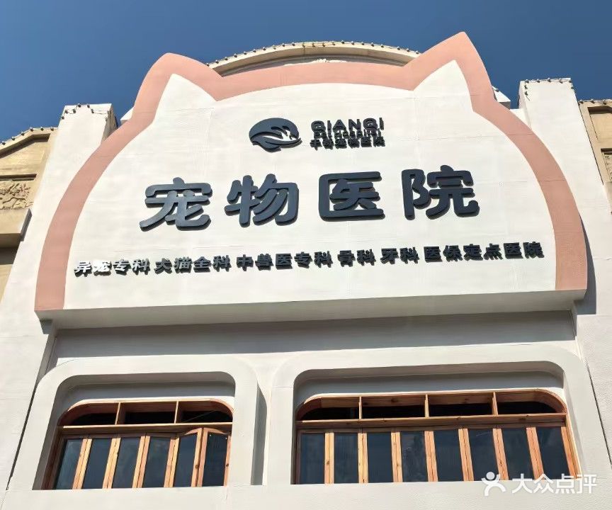 千奇宠物医院(万达广场湛江经开店)