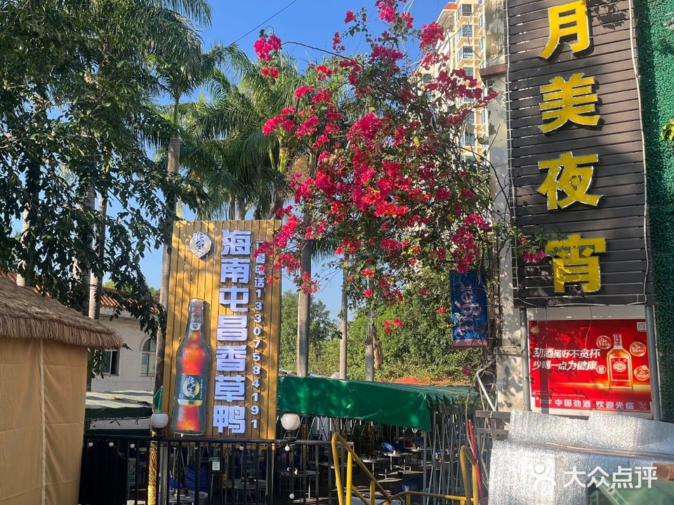 海南屯昌香草鸭(昌江店)