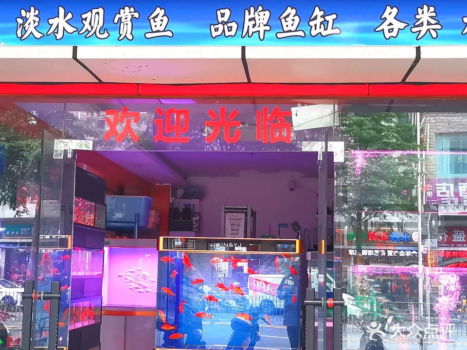 东海水族(万众城商品批发城店)