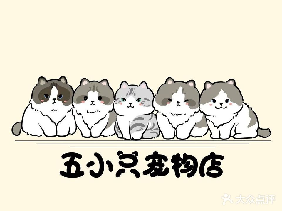 五小只宠物店