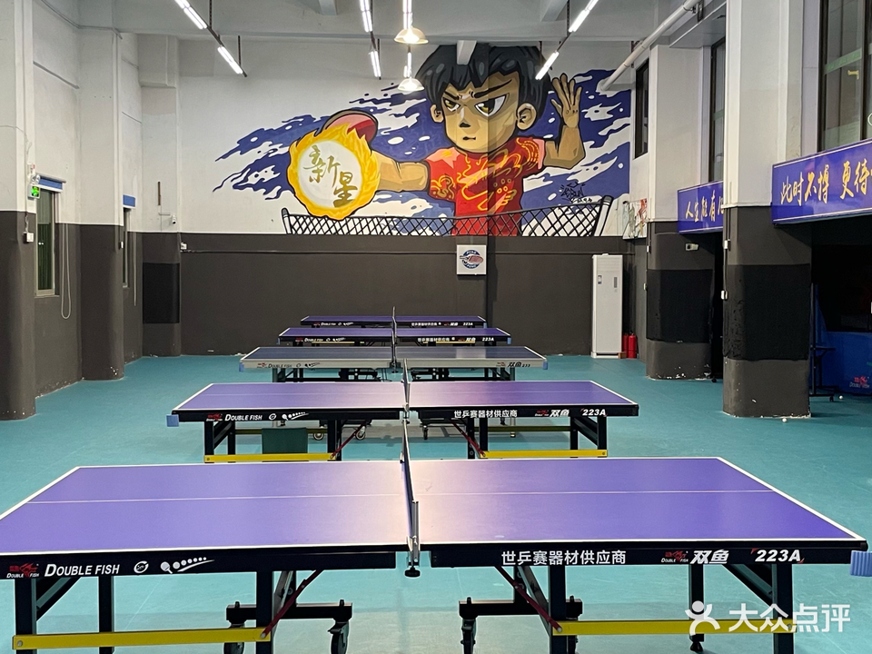 新星乒乓球俱乐部
