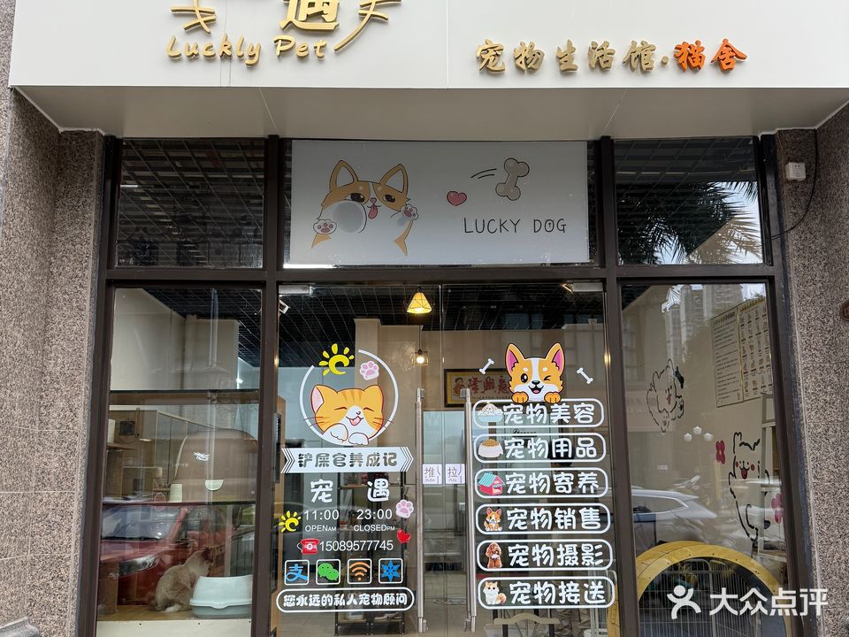 宠遇宠物生活馆·猫舍