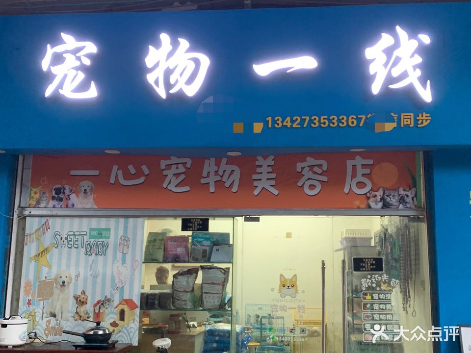 宠物一线