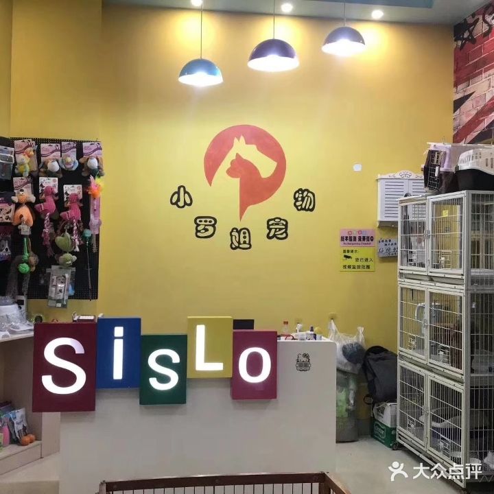 小罗姐宠物(东岸假日店)