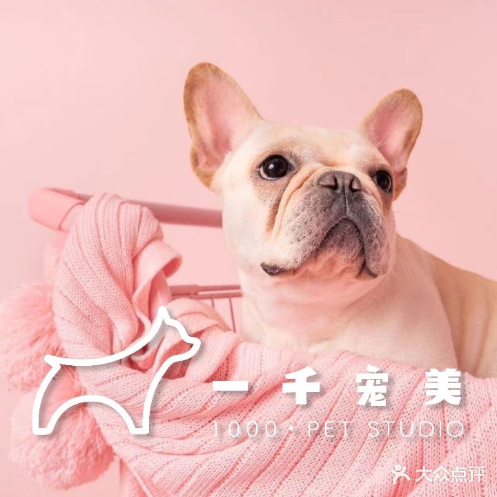 一千宠美洗护造型(新景禾祥高峰会店)