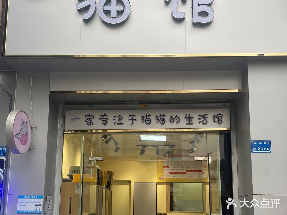 东莞猫馆宠物基地