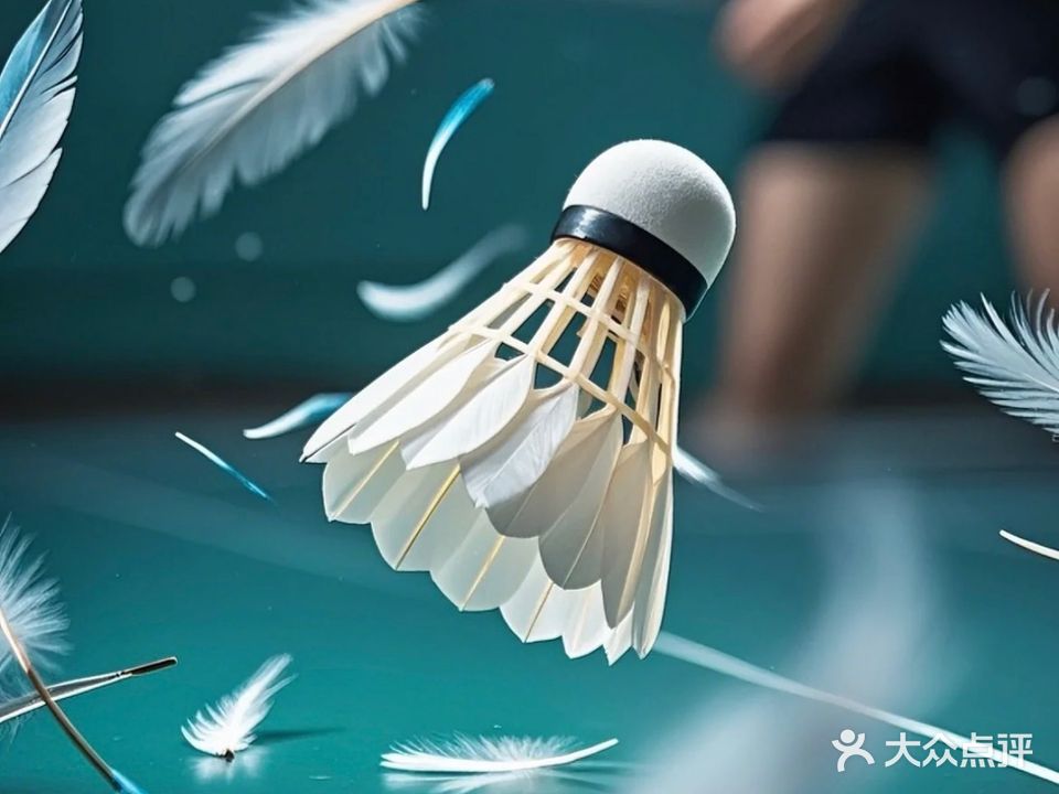 天一羽毛球俱乐部