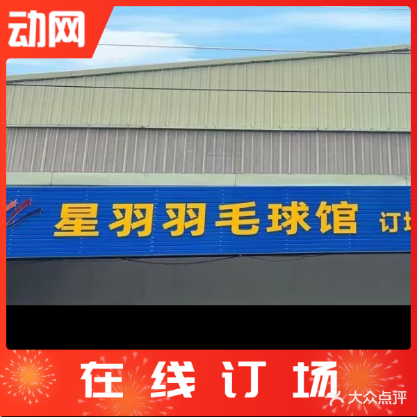 星羽羽毛球