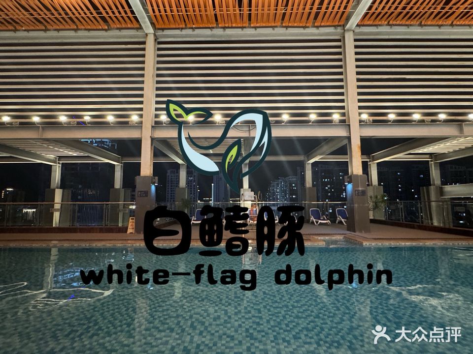 白鳍豚游泳俱乐部