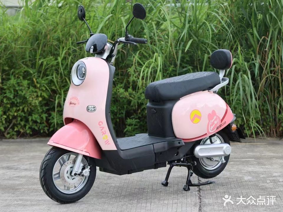 一十五电动车出租维修(北海站店)