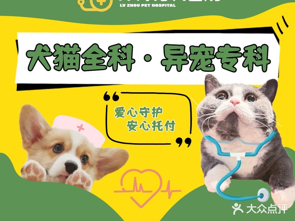 绿舟宠物医院(杏林分院)