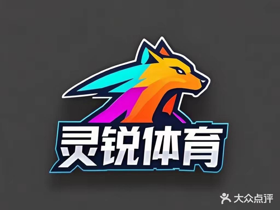 灵锐网球
