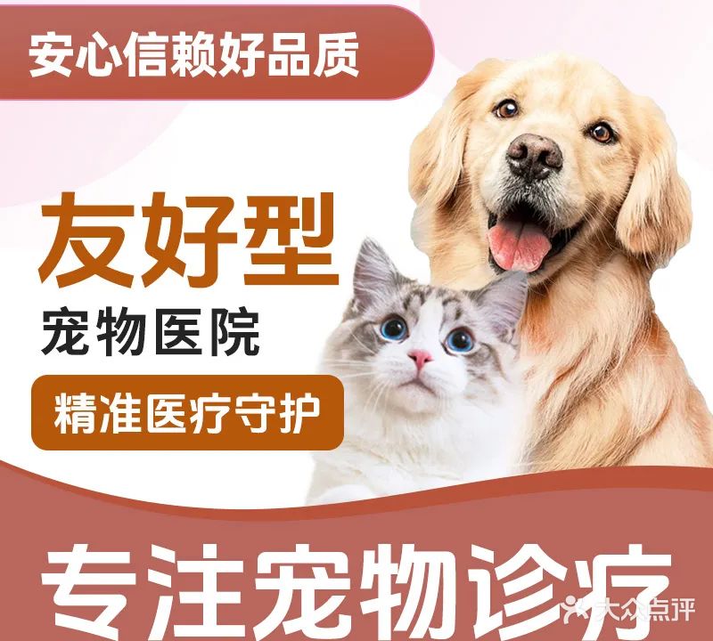 萌爱宠物医院