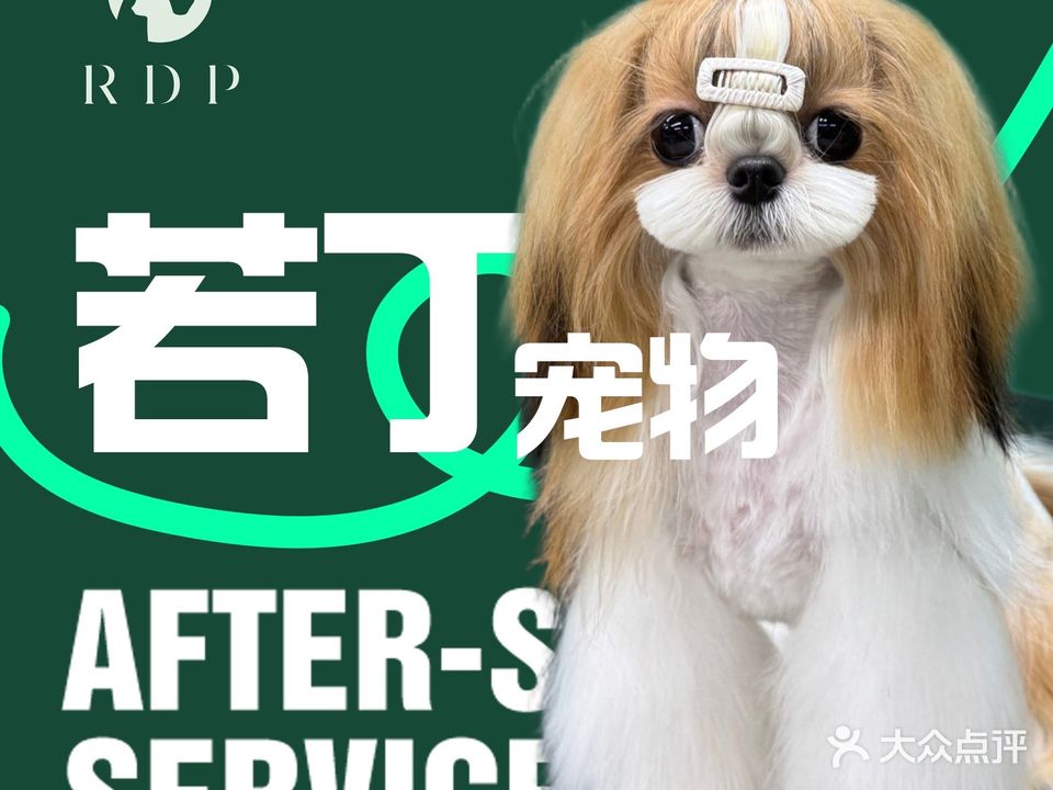 若丁宠物(汉京山店)