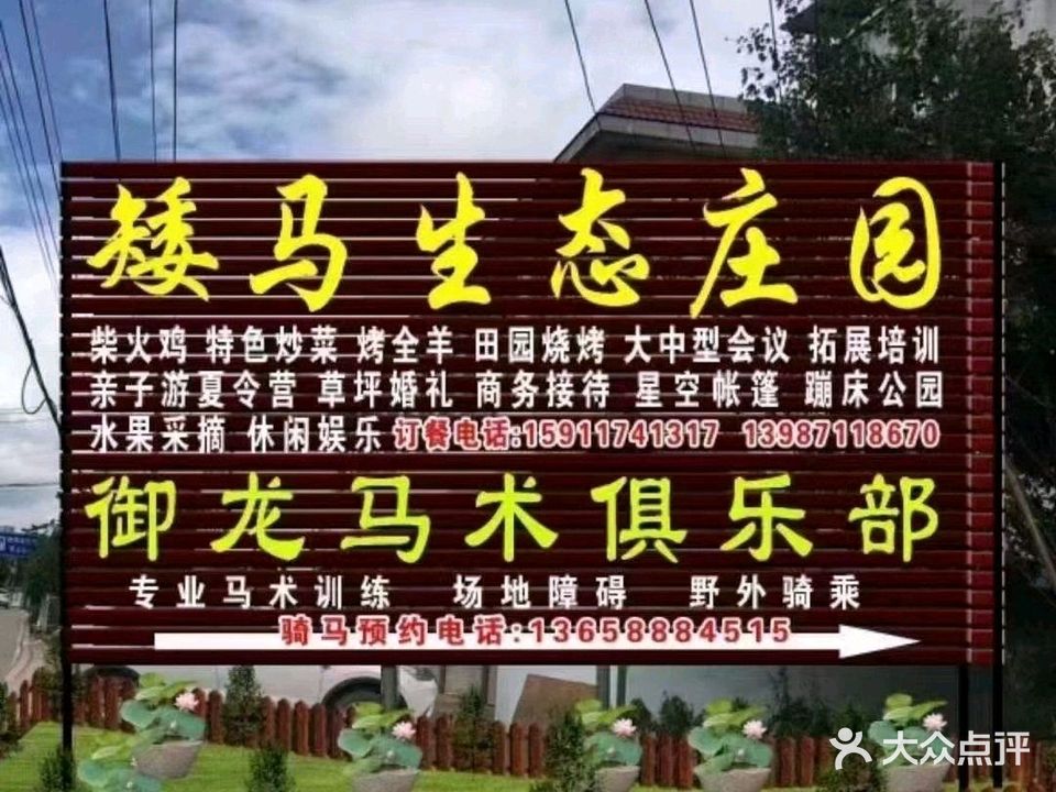 矮马生态庄园·农家乐·团建·自助烧烤·烤羊·烤猪(金殿后山店)