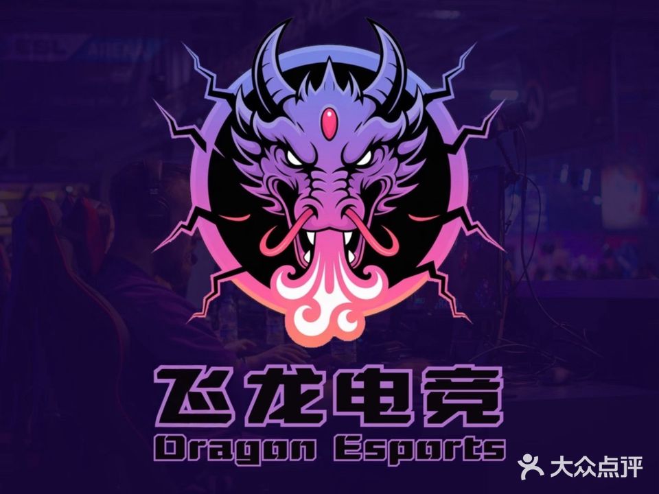 飞龙网吧(旺发路店)