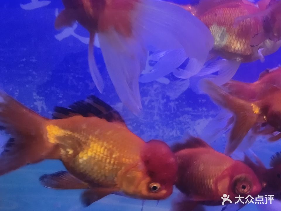 源辉渔具水族馆