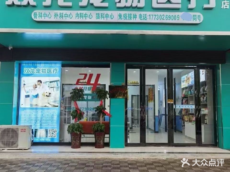 双龙宠物医疗(怀宁店)