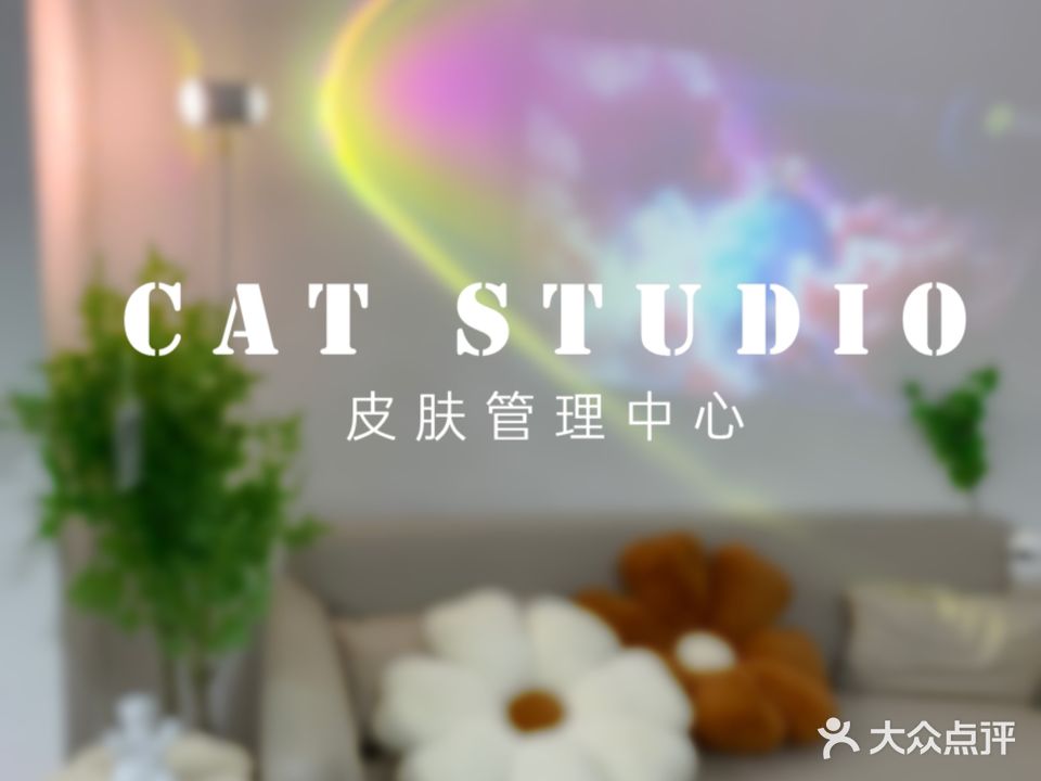 CAT·拾里简一皮肤管理中心