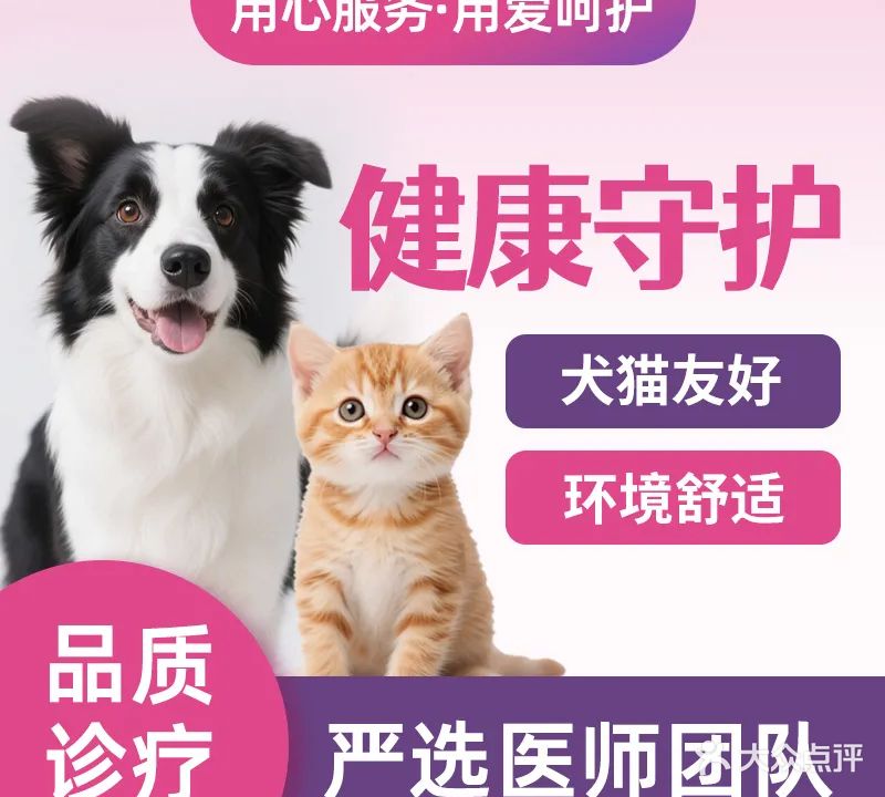宠必康宠物医院(港口店)