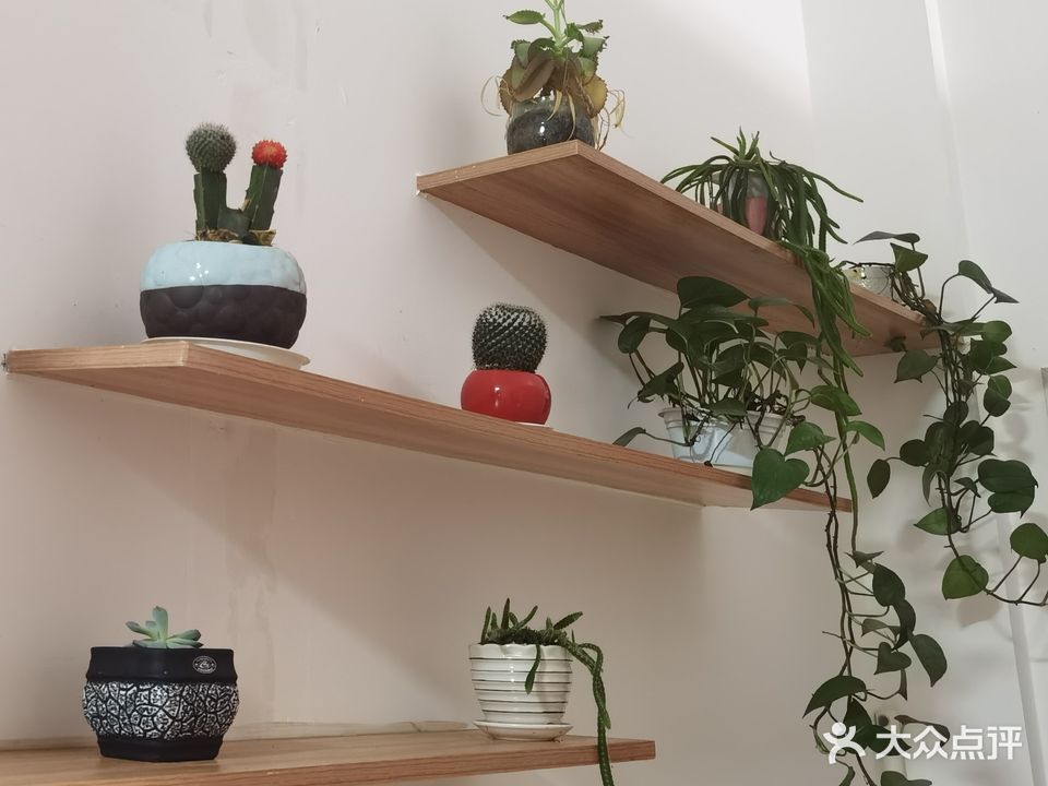 嘉嘉spa美容工作室(金骏园店)