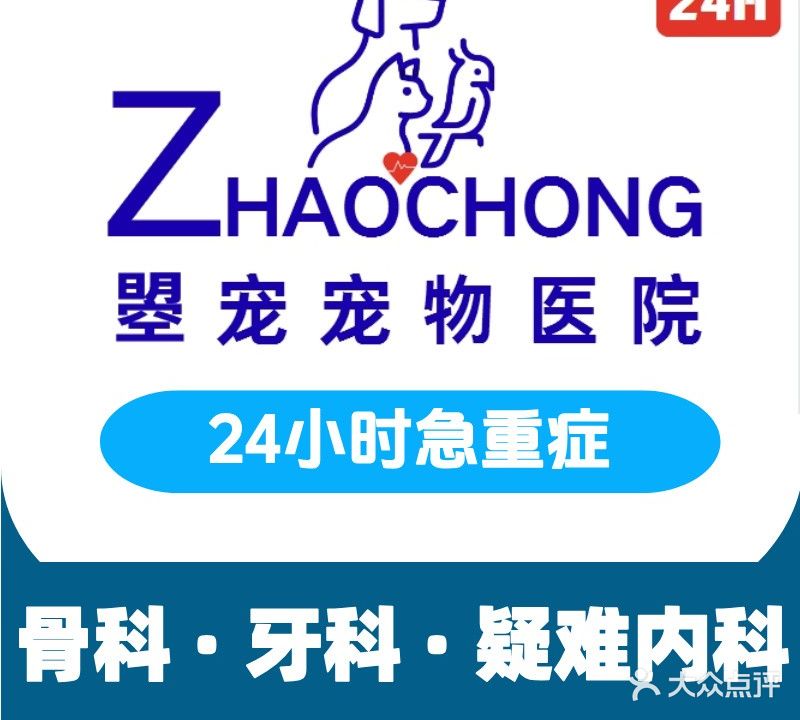 曌宠宠物医院·24h急重症转诊中心