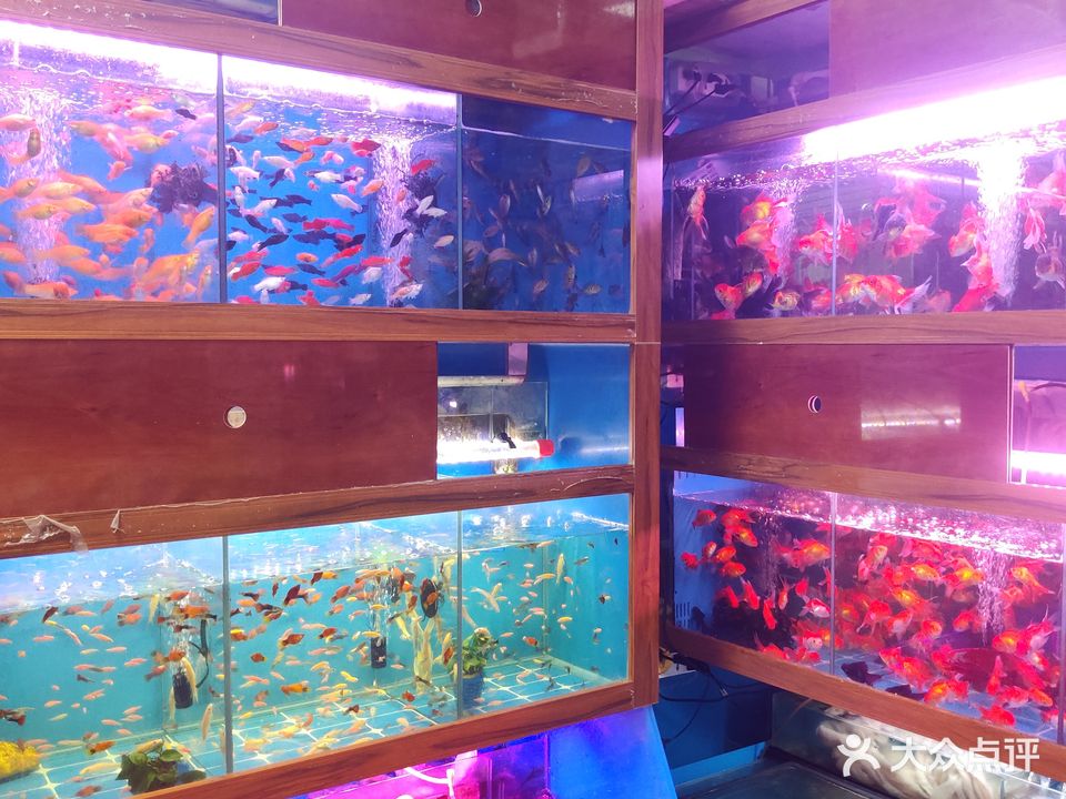 丰裕鱼鸟水族馆